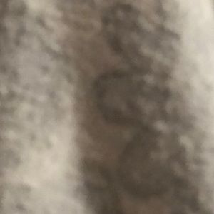 Meet your Posher, Aarani